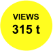 VIEWS 315 t