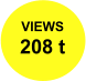 VIEWS 208 t