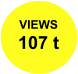 VIEWS 107 t