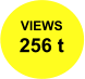 VIEWS 256 t