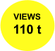 VIEWS 110 t
