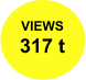 VIEWS 317 t